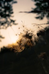 R0001010