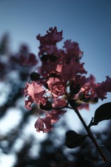 R0001842