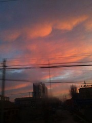 香子兰的天空