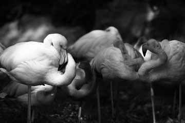 IMG_4888.JPG