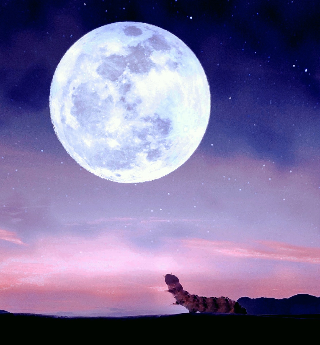 华山论杰2020年11月10日1069关注举头望明月星空摄影爱好者河北摄影圈