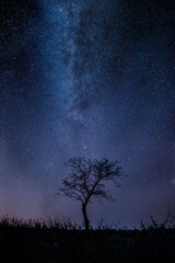 MAX_8376-恢复的-1-2