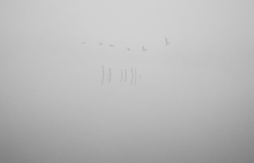 MAX_8957
