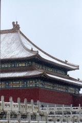 上午还是有雪的,好冷
