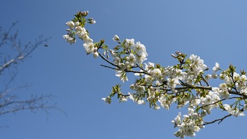 034