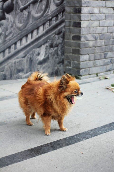 路见不平一声吼啊<br />
