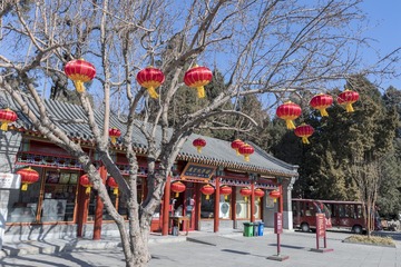 爱情许愿树