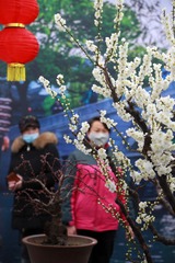 映衬
