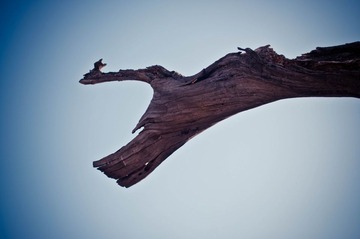 _DSC0150