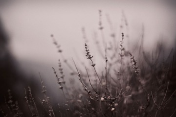 _@DSC0191