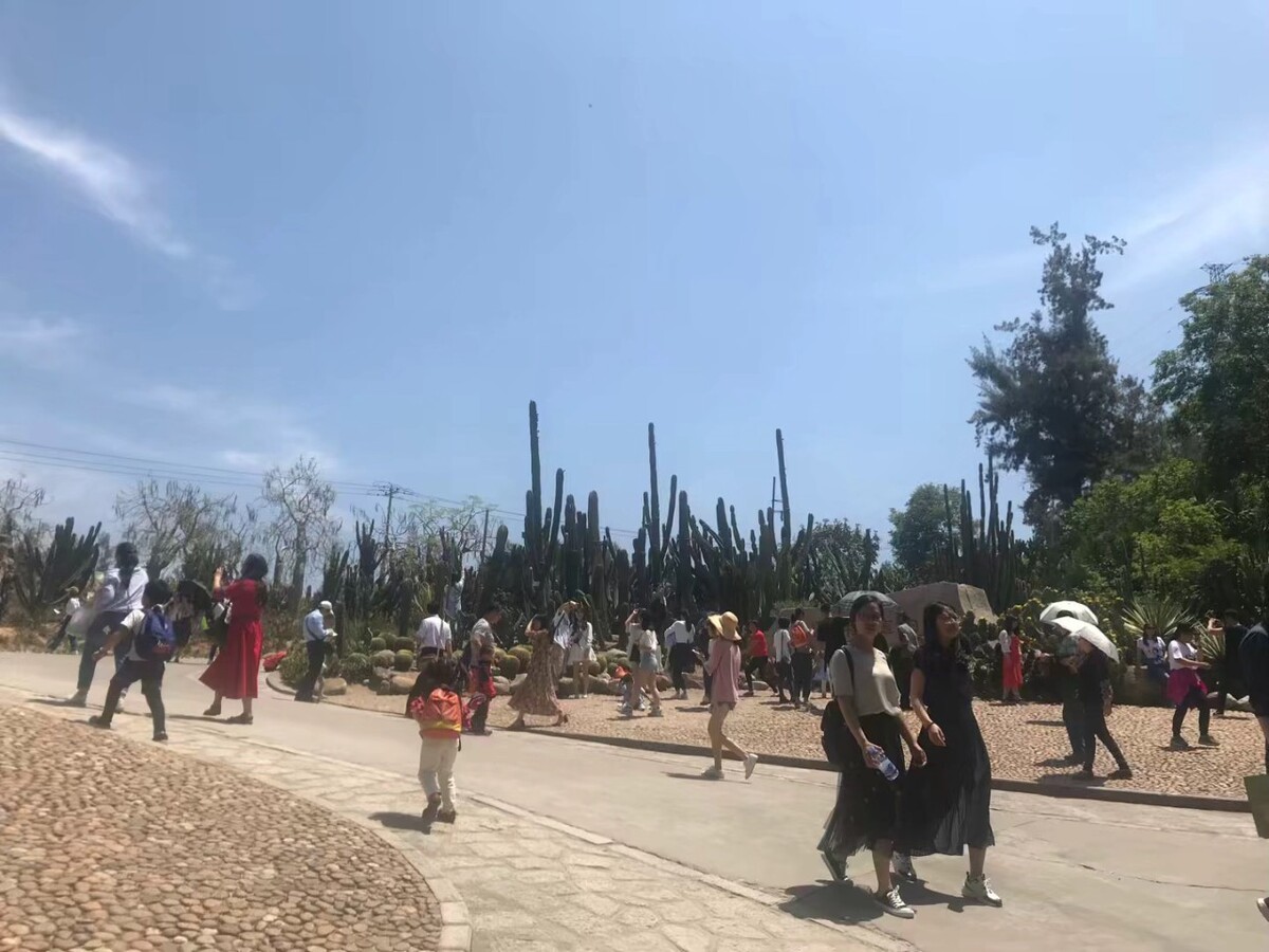 国内安静的旅游景点
