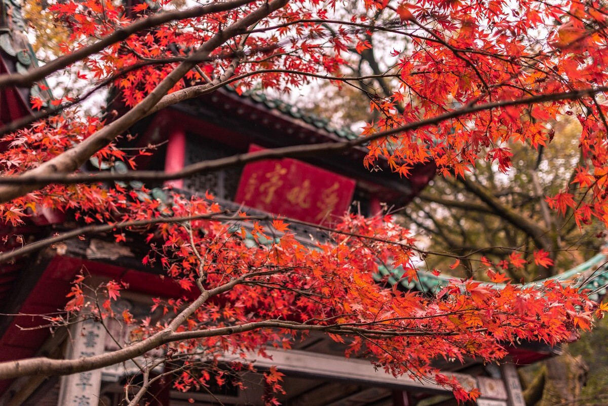 岳麓区红色景点图片