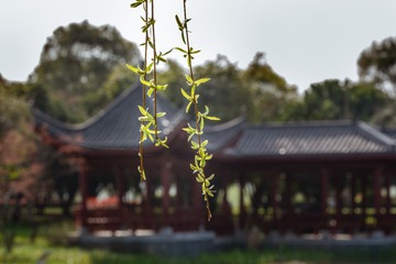 ZXG_5228