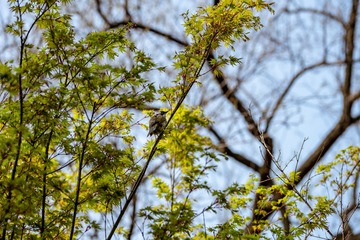 ZXG_5156