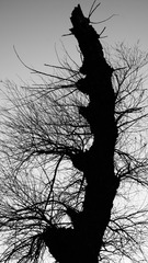 tmp_44b4904c3749225eaf882a64677f2619c3d37410f53e80f2