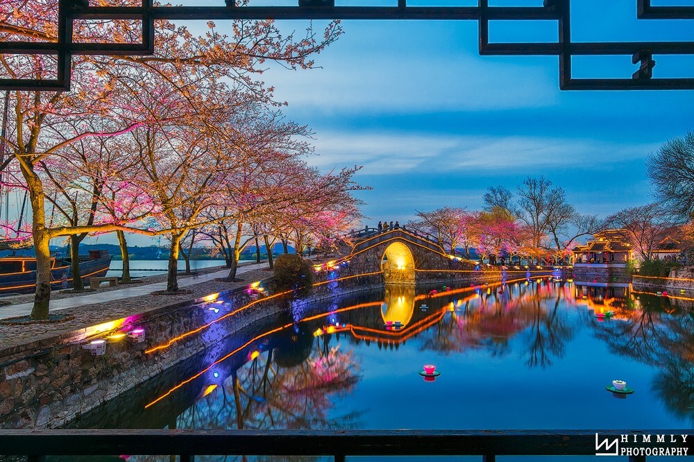 鼋头渚的夜樱,樱花还没开几朵,所以人还是比较少,可以安心的构图拍照。