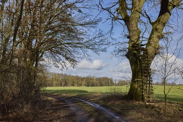 SAM_0082