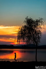 SAM_1187