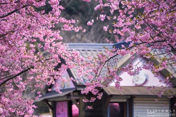 牵手