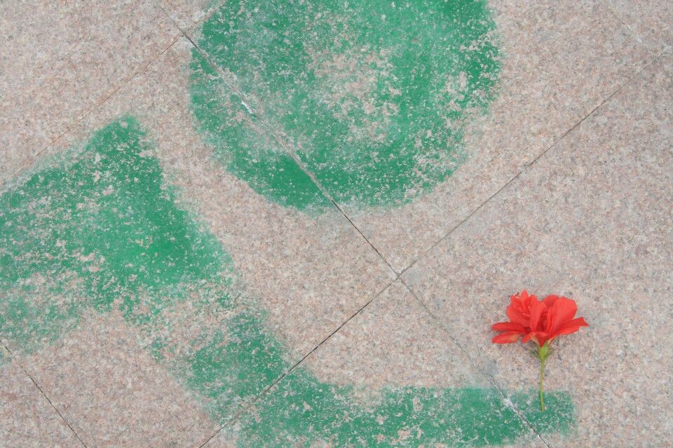 鲜花，与我<br />
