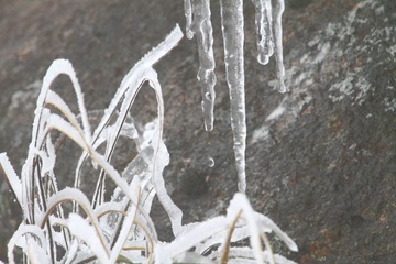 IMG_0201-