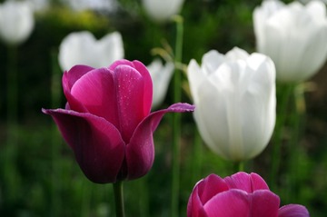 _DSC00581