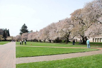 DSC_1267