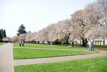 DSC_1266