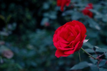 20101023-IMG_5192