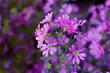 20100502-IMG_1372