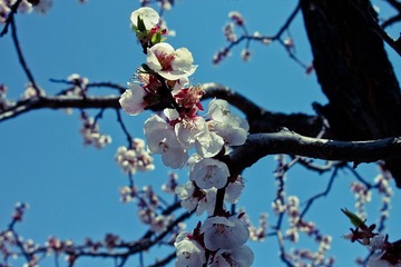 20100501-IMG_1232