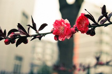 20100425-IMG_0913