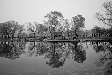 20100417-IMG_0821