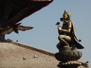 P1000446