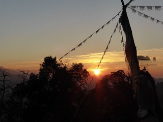 P1010333