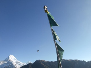 P1010223