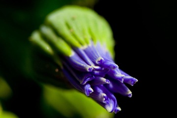 IMG_2965.jpg