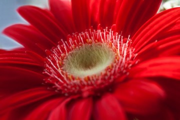 IMG_3199.jpg