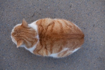 IMG_3603.jpg