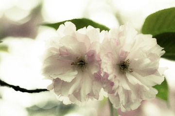 IMG_3629p1.jpg