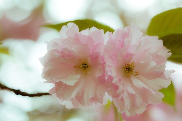 IMG_3629p2.jpg