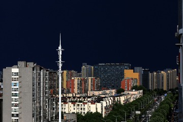 跳蛛