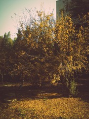 IMG_20131106_094623