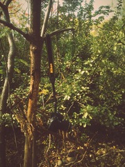 IMG_20131111_123547