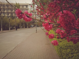IMG_20140328_181541