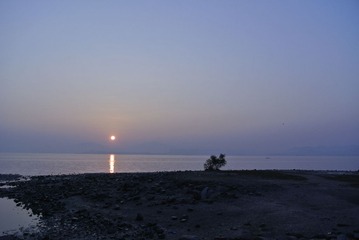 _DSC7361