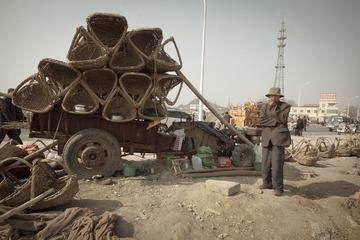 IMG_9864.jpg