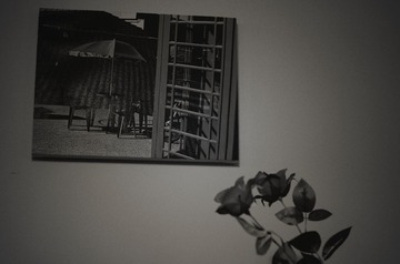 IMGP1546_