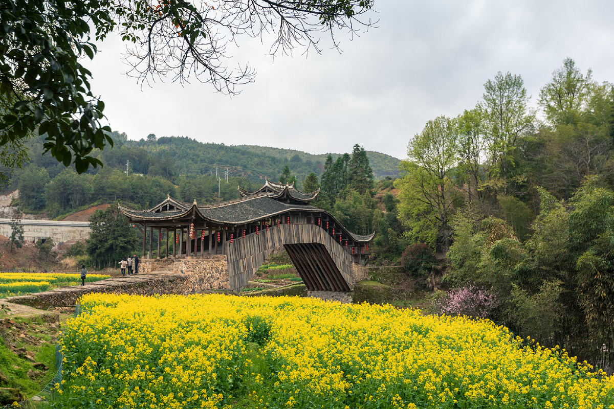 泰顺廊桥--文兴桥 - kan衎 - 图虫
