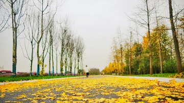380265F0-F056-45A9-AC13-E309EAB99C06/L0/001